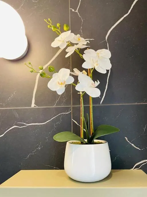 Bloom Of Luxury Apartment London United Kingdom